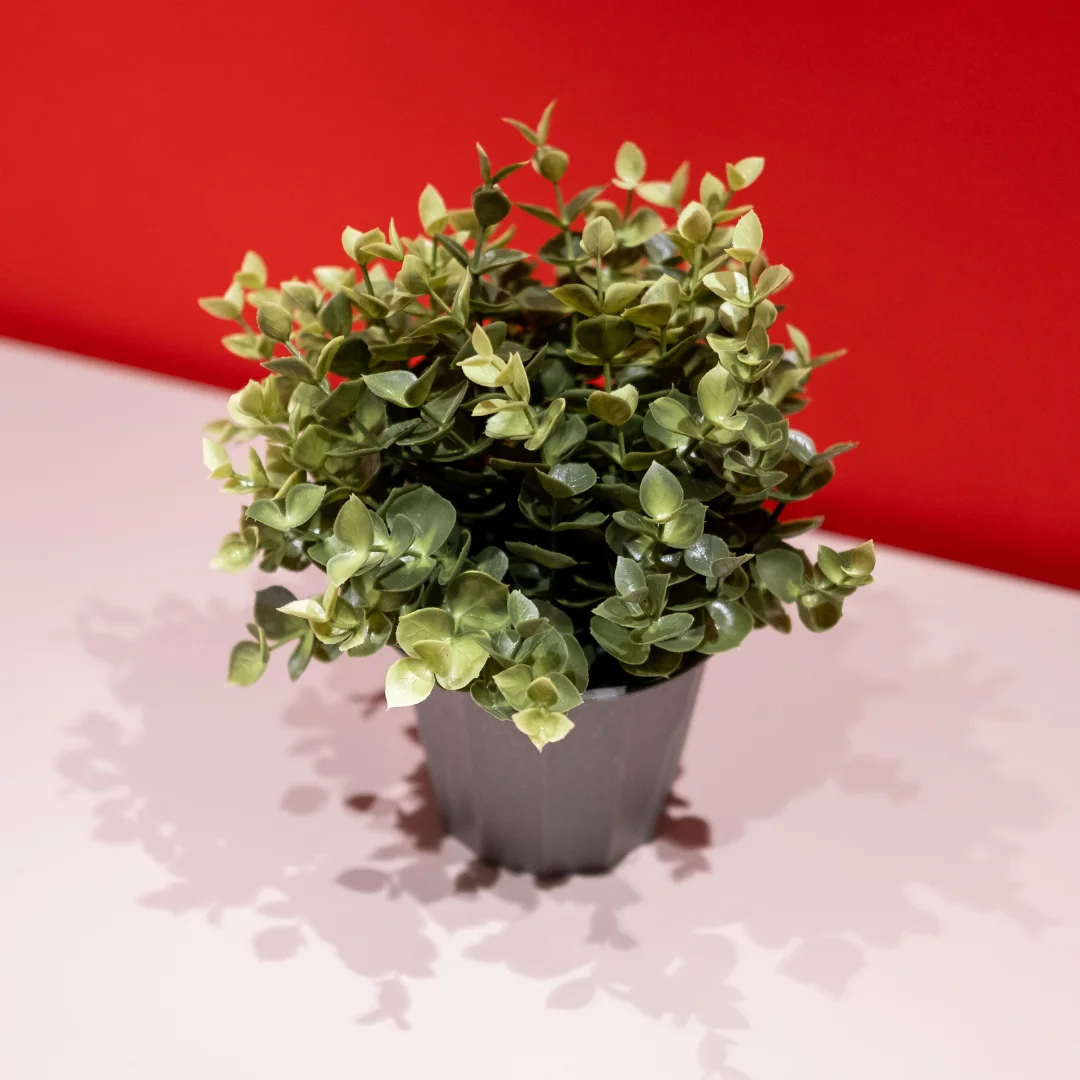 avukat-diger-odalar-4